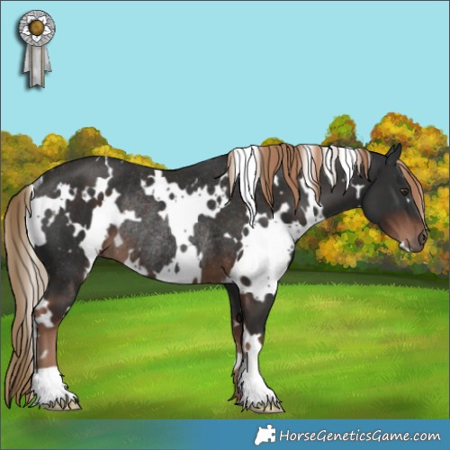 Horse Color:White Spotted Liver Chestnut Rabicano