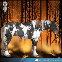 Horse Color:White Spotted Liver Chestnut Rabicano 