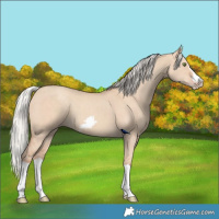 Horse Color:Silver Classic Champagne Dun Splash Frame 