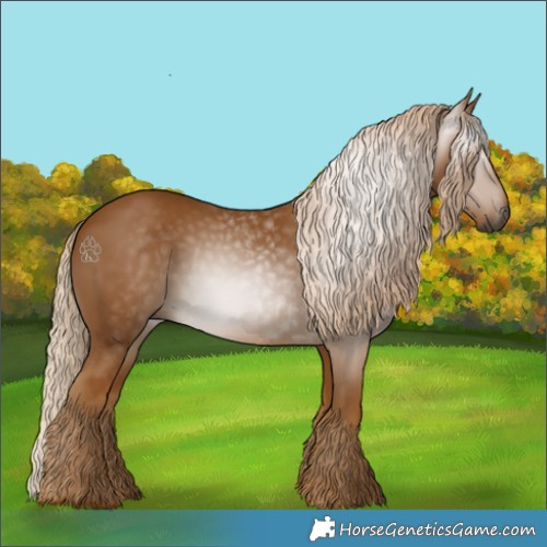 Horse Color:Gray Palomino
