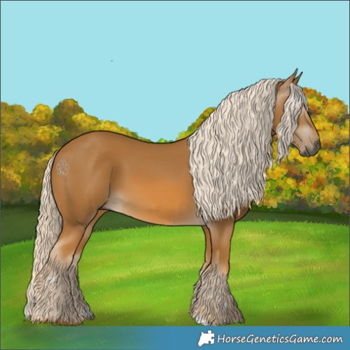 Horse Color:Gray Palomino