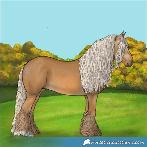 Horse Color:Gray Palomino 