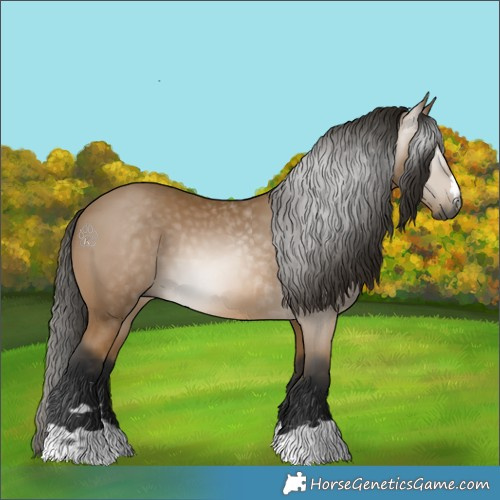 Horse Color:Gray Buckskin