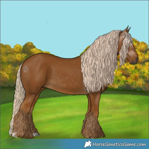 Horse Color:Gray Palomino