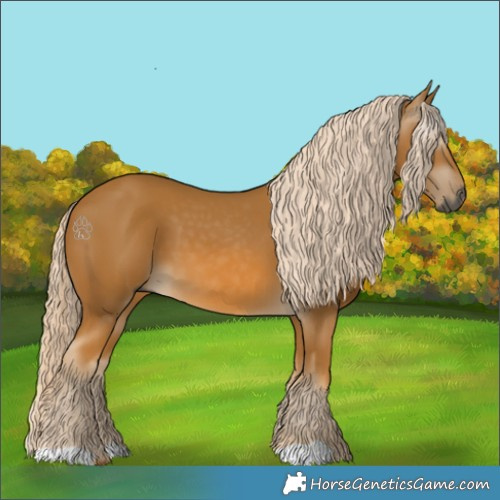 Horse Color:Gray Palomino