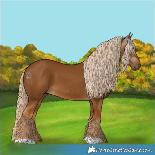 Horse Color:Gray Palomino