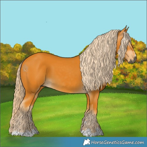 Horse Color:Gray Palomino