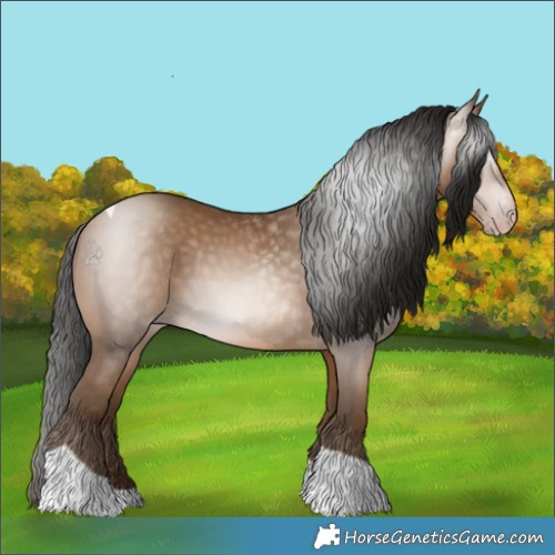 Horse Color:Gray Amber Champagne Tobiano 
