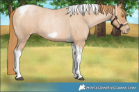 Horse Color:Red Roan Pearl Tobiano Frame 
