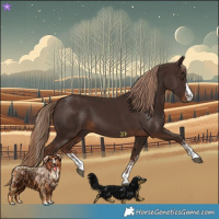 Horse Color:Liver Chestnut and Liver Chestnut