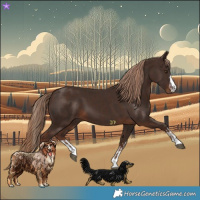 Horse Color:Liver Chestnut  and Liver Chestnut 