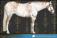 Horse Color:Gray Gold Champagne Tobiano Leopard