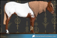 Horse Color:Chestnut Near Fewspot