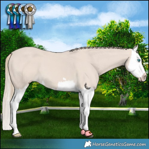 Horse Color:Smoky Creme Splash 
