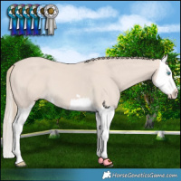 Horse Color:Smoky Creme Splash