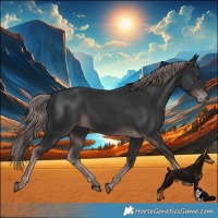 Horse Color:Platinum Liver Chestnut Rabicano 