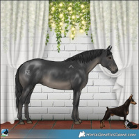 Horse Color:Platinum Black Rabicano 