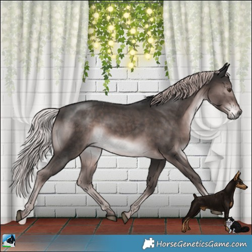 Horse Color:Platinum Liver Chestnut Rabicano 
