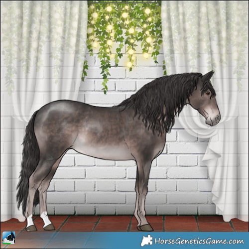 Horse Color:Platinum Liver Chestnut Rabicano 
