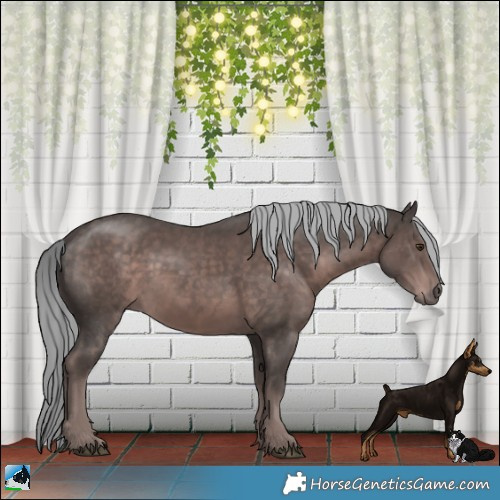 Horse Color:Platinum Liver Chestnut Mushroom Rabicano 