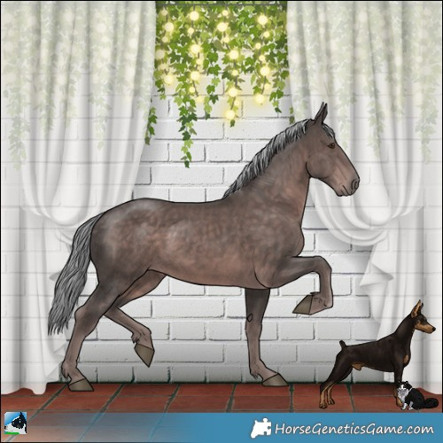 Horse Color:Platinum Liver Chestnut Mushroom Rabicano
