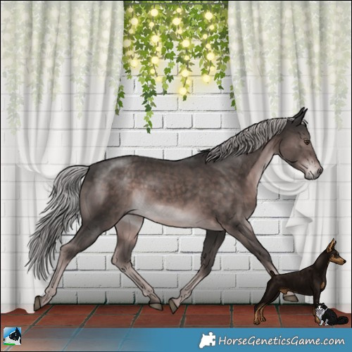 Horse Color:Platinum Liver Chestnut Rabicano 