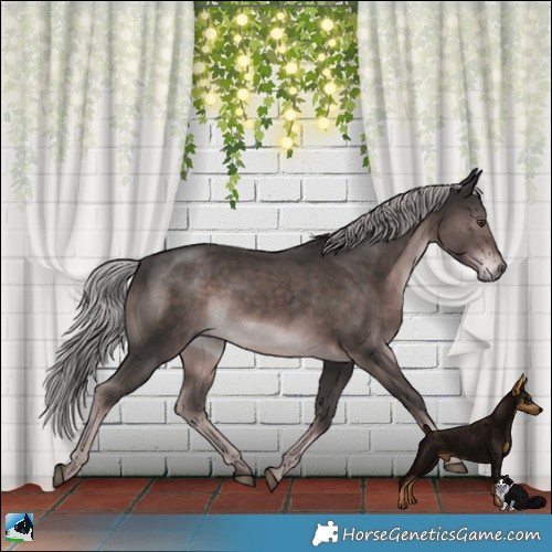 Horse Color:Platinum Liver Chestnut Rabicano 