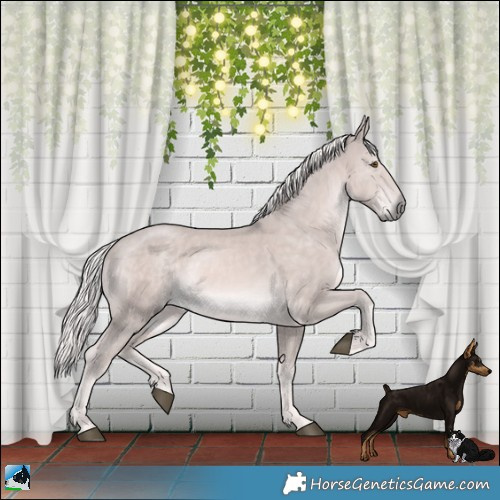 Horse Color:Platinum Palomino Mushroom Rabicano 