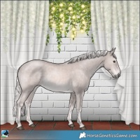 Horse Color:Platinum Palomino Mushroom Rabicano