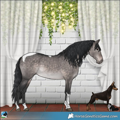 Horse Color:Platinum Brown Dun Tobiano Rabicano 