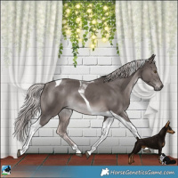 Horse Color:Platinum Chocolate Palomino Tobiano Rabicano