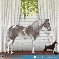Horse Color:Platinum Chocolate Palomino Tobiano Rabicano