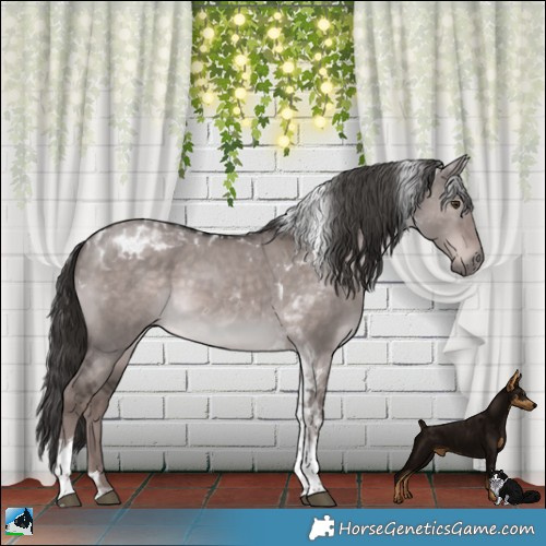 Horse Color:Platinum Liver Red Dun Tobiano Rabicano