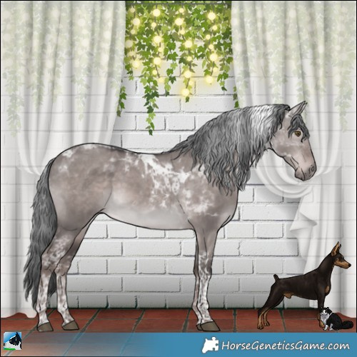 Horse Color:Platinum White Spotted Liver Red Dun Mushroom Tobiano Rabicano