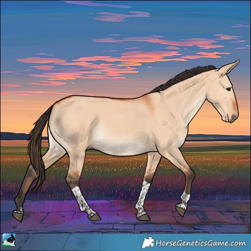 Horse Color:Bay Dun Tobiano Rabicano