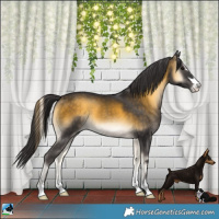 Horse Color:Buckskin Onyx 