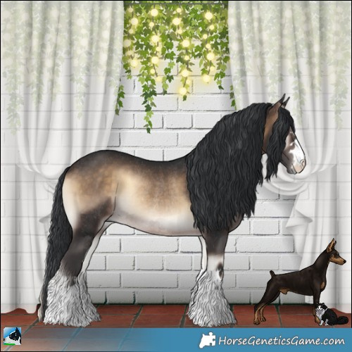 Horse Color:Brown Onyx Rabicano 