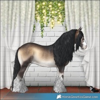 Horse Color:Brown Onyx Rabicano 