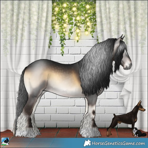 Horse Color:Gray Brown Onyx 
