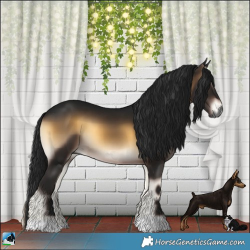 Horse Color:Gray Brown Onyx 