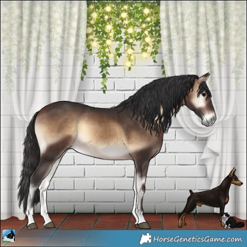 Horse Color:Brown Onyx