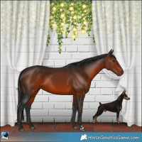 Horse Color:Brown Rabicano 