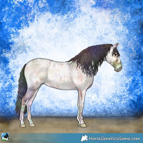 Horse Color:Nacre Bay Ice Roan Onyx 