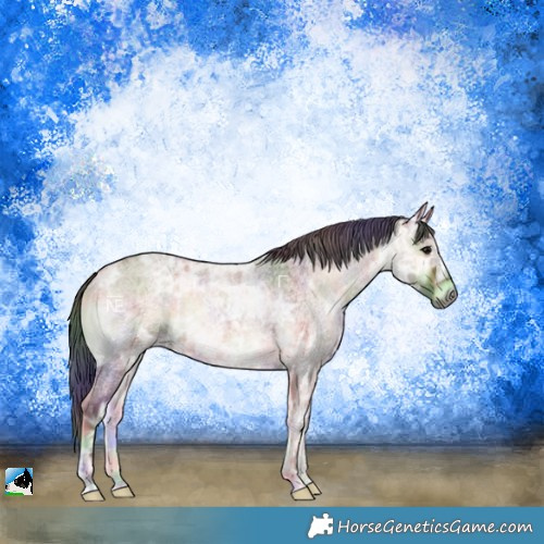 Horse Color:Nacre Bay Ice Roan Onyx 