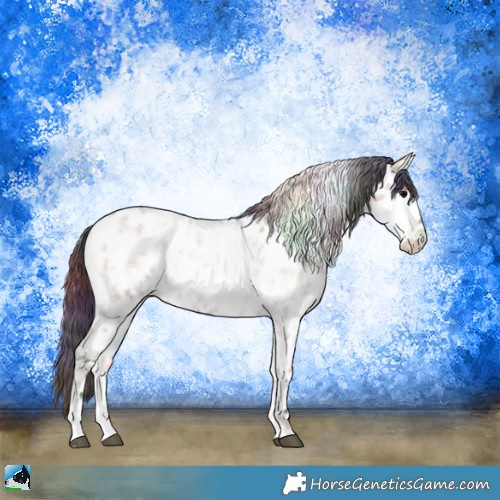 Horse Color:Nacre Bay Ice Roan Onyx Near Leopard