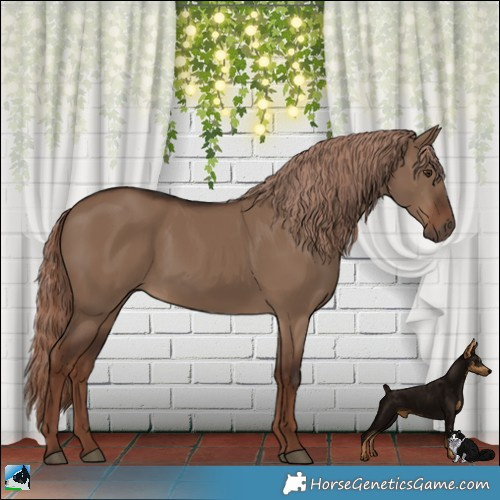 Horse Color:Liver Red Dun 