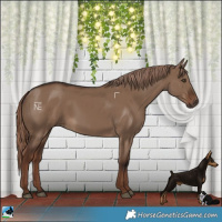Horse Color:Liver Red Dun