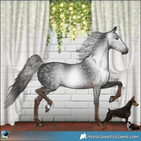 Horse Color:Gray Liver Chestnut Rabicano 