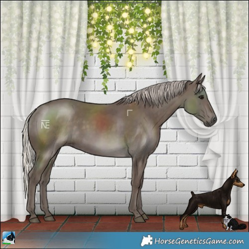 Horse Color:Silver Black Rabicano 