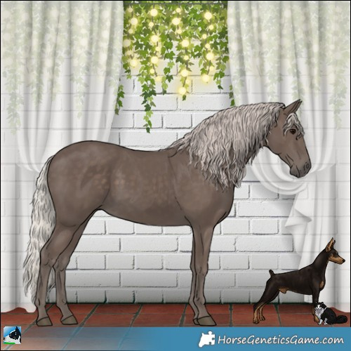 Horse Color:Silver Black Rabicano 